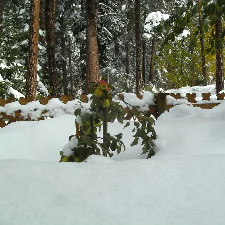 Gaestehaus Sissy 3* لانغنفلد