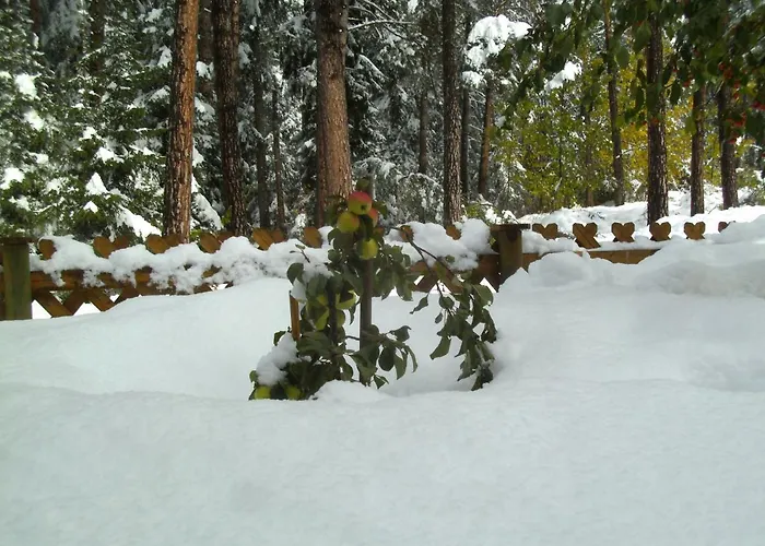 Gaestehaus Sissy 3* Λάνγκενφελντ